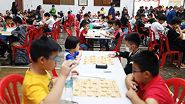 chinese-chess-club-19052024