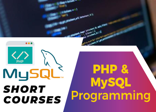 php mysql programming